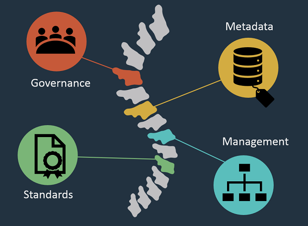 a cartoon of a spine with the words "Governance", "Metadata", "Standards" and "Management" linked to it by coloured lines